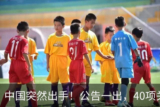 中国突然出手！公告一出，40项关键技术直接锁死西方产业链