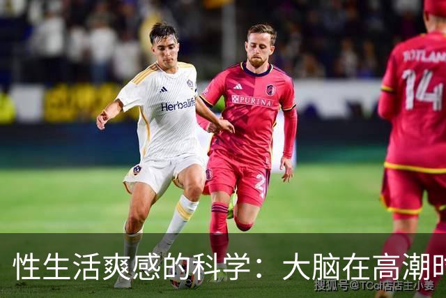 性生活爽感的科学：大脑在高潮时发生了什么？