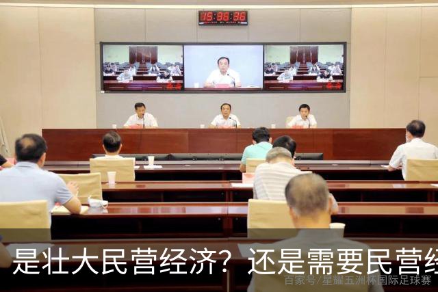 是壮大民营经济？还是需要民营经济？