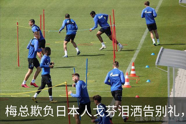 梅总欺负日本人戈芬泪洒告别礼，莱巴表白中国伊埃拉救六赛点徒劳