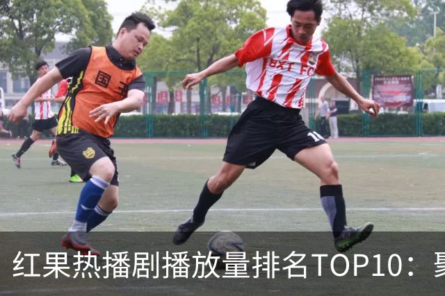 红果热播剧播放量排名TOP10：聚宝仙盆第6,第1名1.7亿断层领先