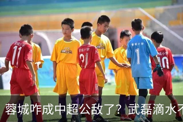 蓉城咋成中超公敌了？武磊滴水不漏！刘祝润：现实满足了大连球迷心愿 最后努力一把