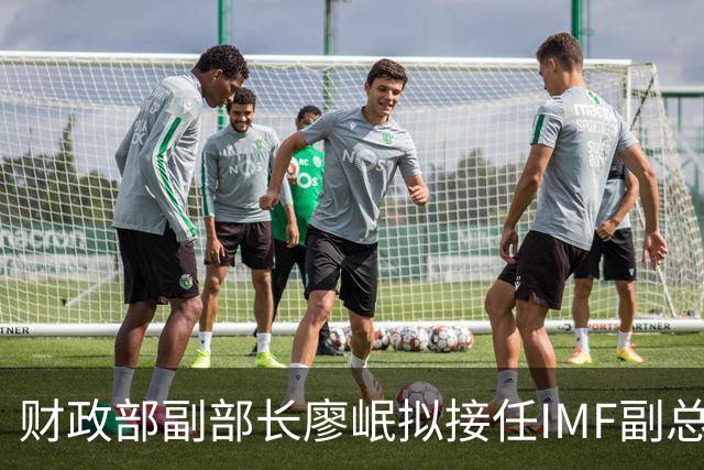 财政部副部长廖岷拟接任IMF副总裁，12月1日起生效；为第四位中国籍副总裁，曾任银监会办公厅主任、上海银监局局长等职